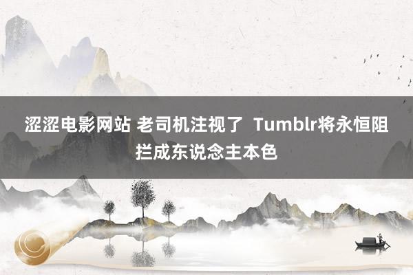 涩涩电影网站 老司机注视了  Tumblr将永恒阻拦成东说念主本色