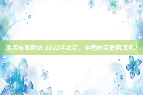 涩涩电影网站 2022年之后，中国的互联网底色？