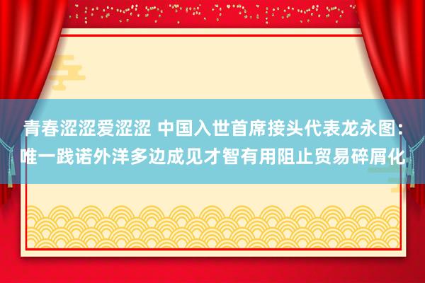 青春涩涩爱涩涩 中国入世首席接头代表龙永图：唯一践诺外洋多边成见才智有用阻止贸易碎屑化