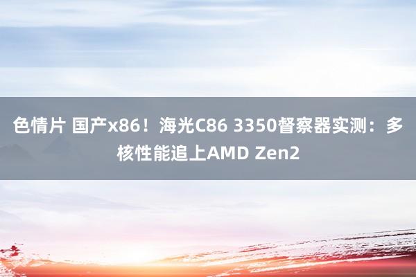 色情片 国产x86！海光C86 3350督察器实测：多核性能追上AMD Zen2