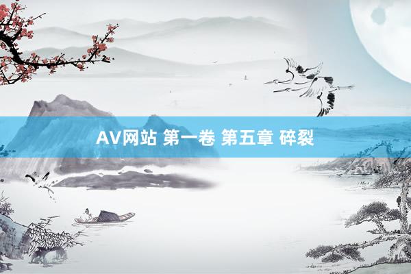 AV网站 第一卷 第五章 碎裂