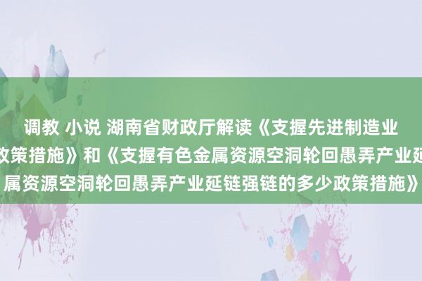 调教 小说 湖南省财政厅解读《支握先进制造业供应链配套发展的多少政策措施》和《支握有色金属资源空洞轮回愚弄产业延链强链的多少政策措施》