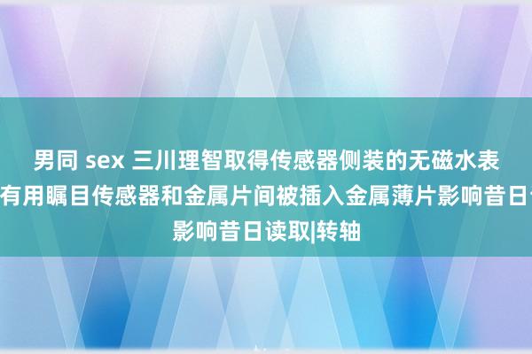 男同 sex 三川理智取得传感器侧装的无磁水表专利，能有用瞩目传感器和金属片间被插入金属薄片影响昔日读取|转轴